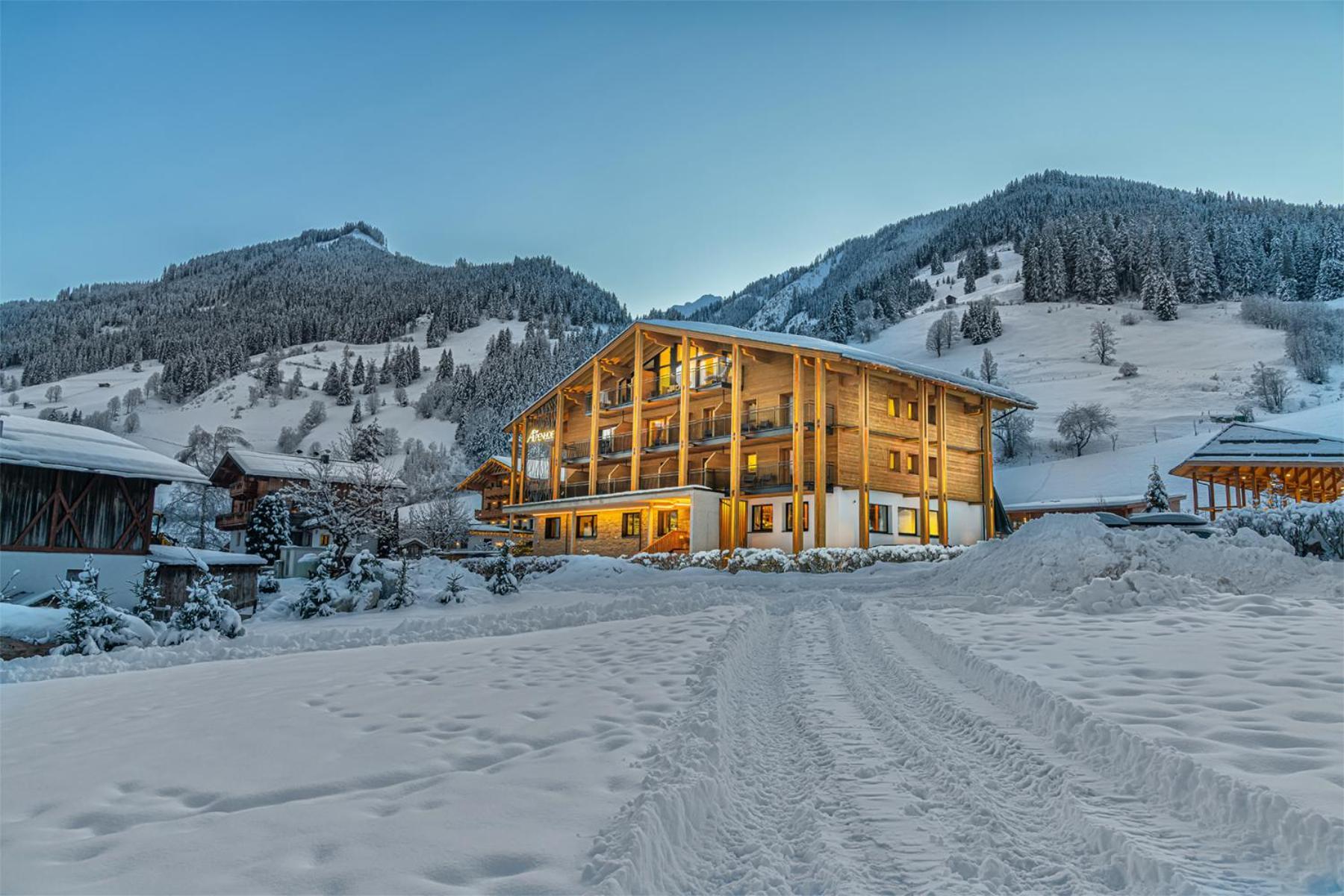 Hotel Alpenhof 3*