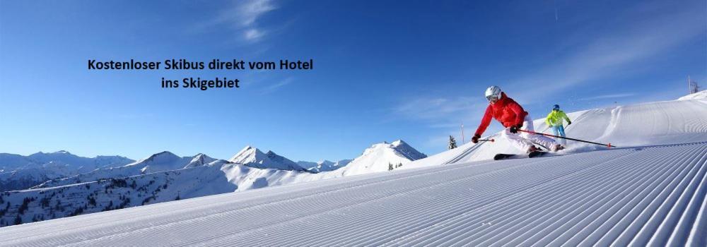 Hotel Alpenhof 3*