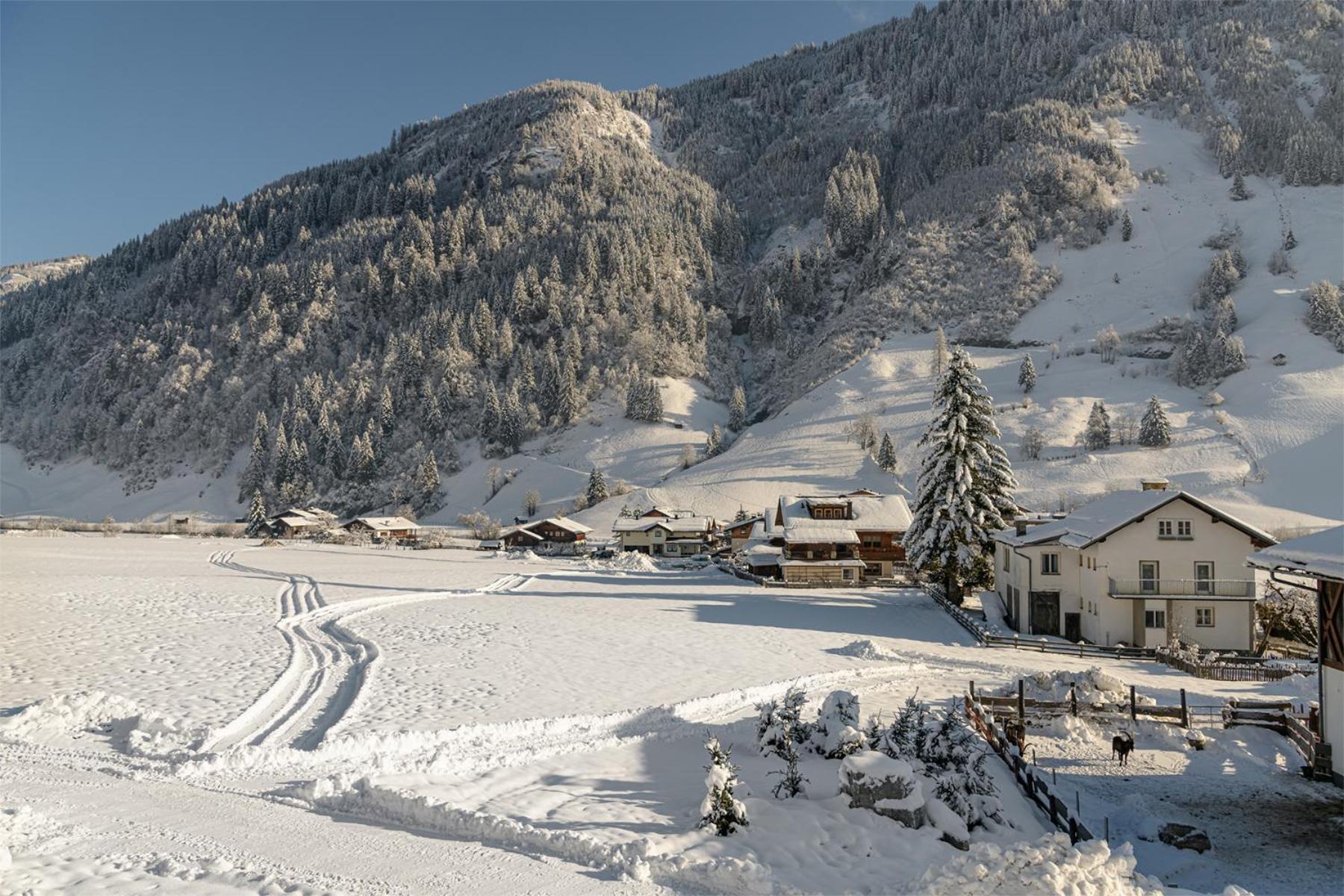 Alpenhof 3*